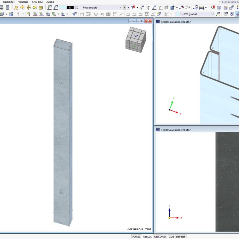 Columna armada 2 PGC – Realizado con RFEM 6.03.02